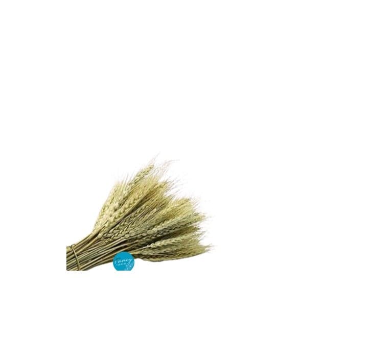 FANCY Dried Wheat Stems Bundle – Natural & Painted, Decorative Dried Flowers for Vases & Home Décor Artificial Flowers (٥)