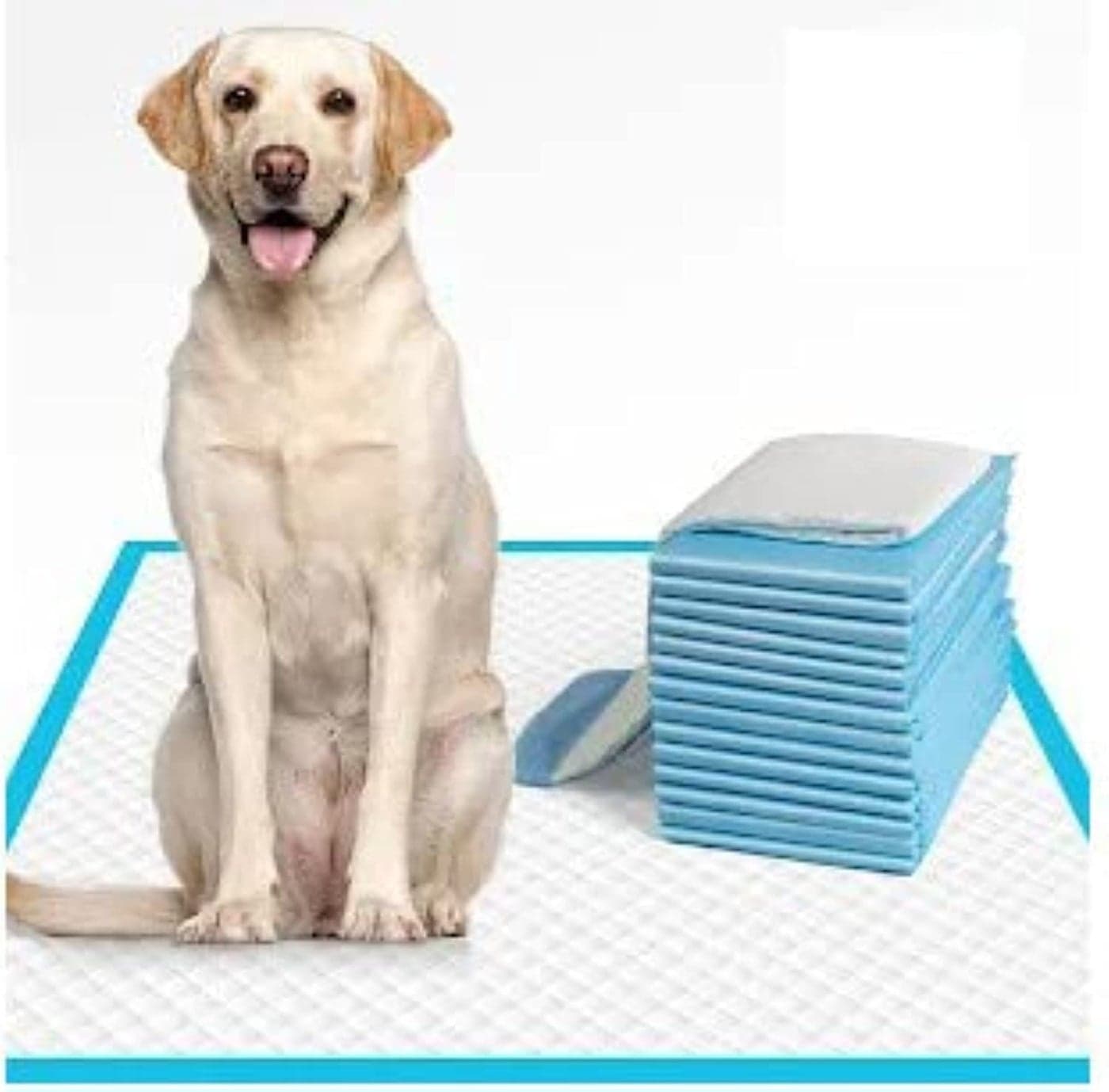 PET MINISTER Dog Training Pad Pee and Potty with Quick Drying Surface and Absorbent Core 5 Count Suitable for Small & Large Breed Disposable Dog Diapers, 60 cm x 90 cm (Pack of 5, XL)