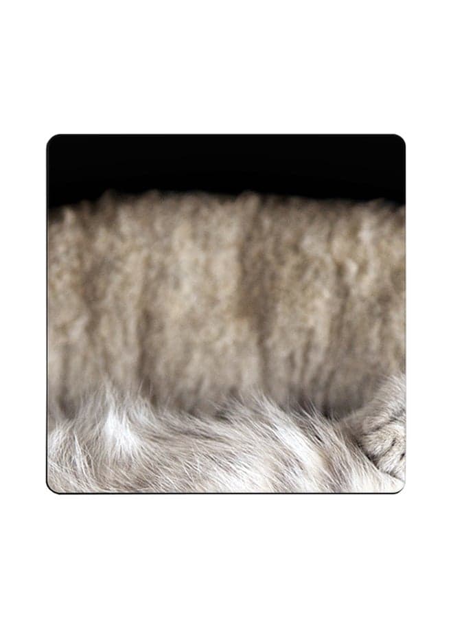 Sleepy Kittens Printed Coaster Multicolour 9x9cm